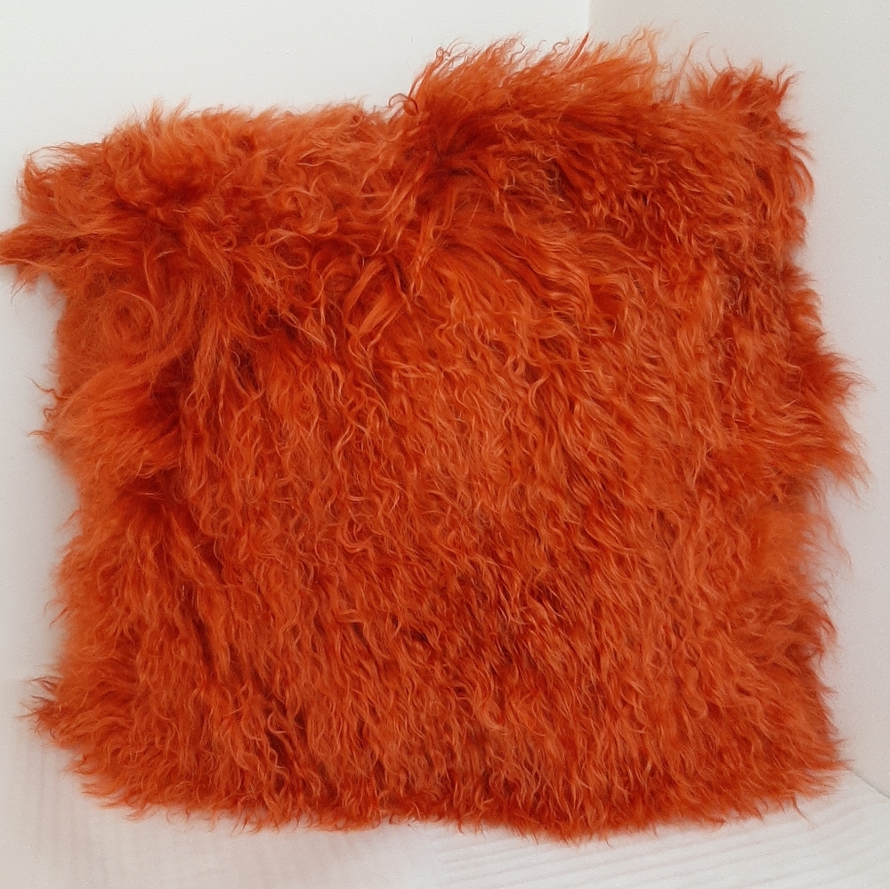 Genuine Mongolian Pumpkin 20" Pillow